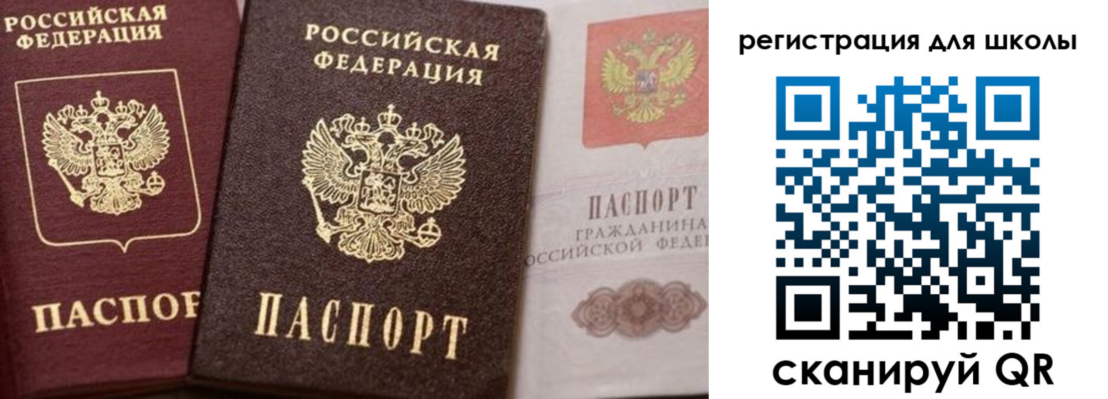прописка штамп в Вольске